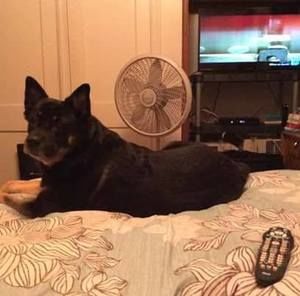 Meet your Posher, Sandra